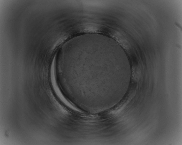 X0000095690449200801081251