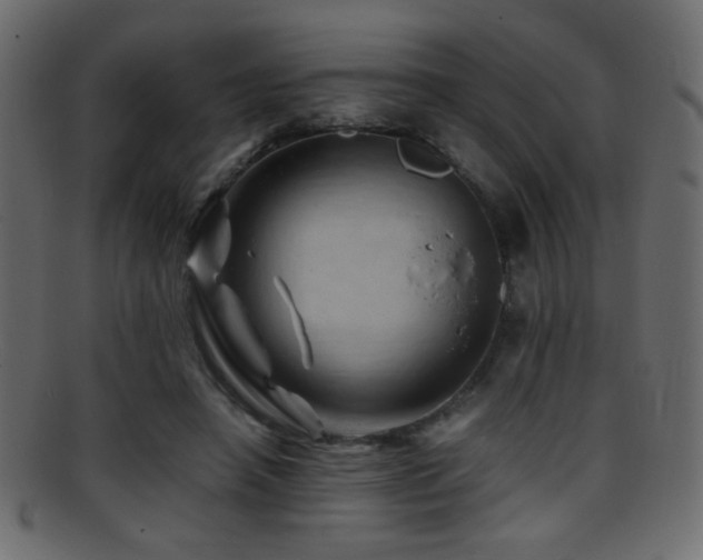 X0000095690450200801081251