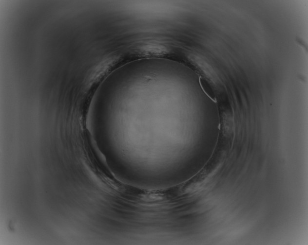 X0000095690451200801081251