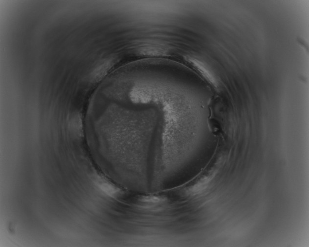 X0000095690453200801081251