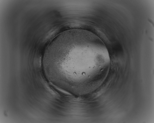 X0000095690454200801081251