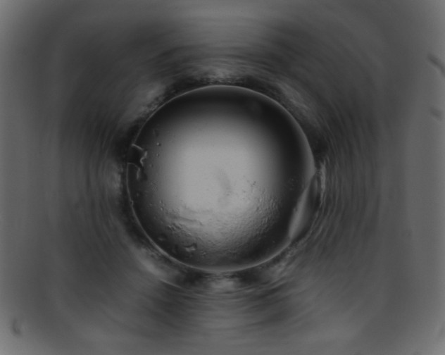 X0000095690456200801081251