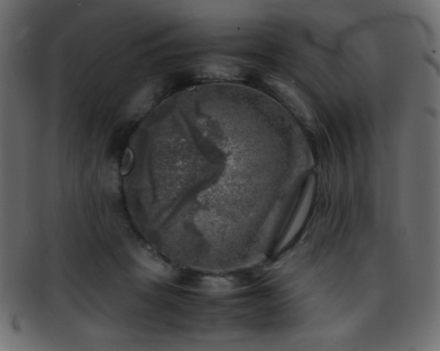 X0000095690457200801081251