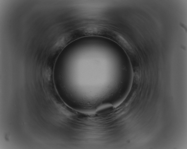 X0000095690458200801081252