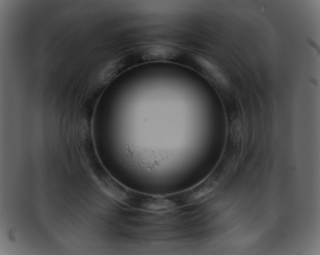 X0000095690459200801081252