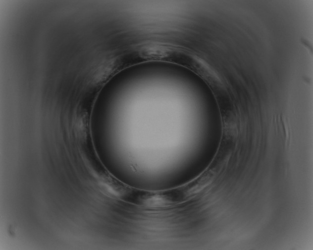 X0000095690460200801081252