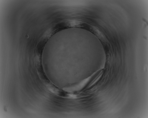 X0000095690461200801081252