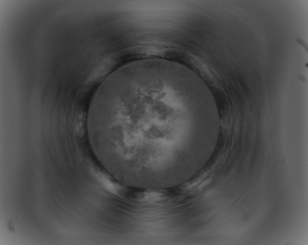 X0000095690462200801081252