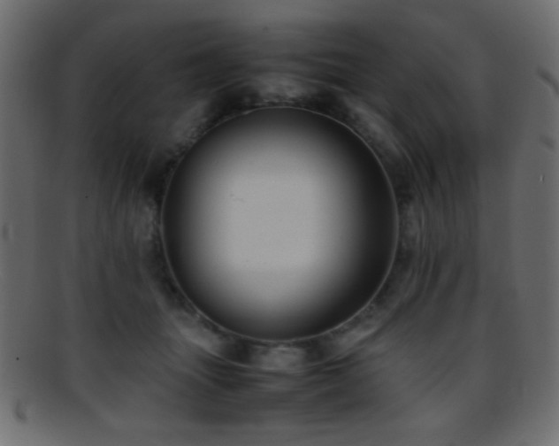 X0000095690463200801081252
