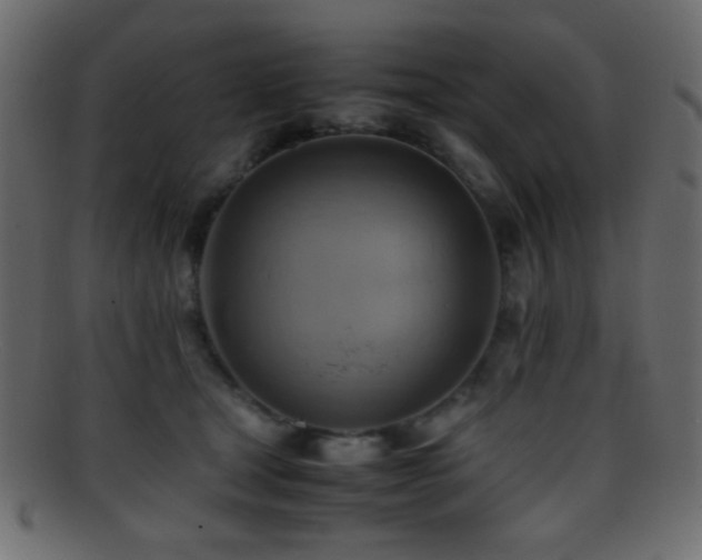 X0000095690465200801081252