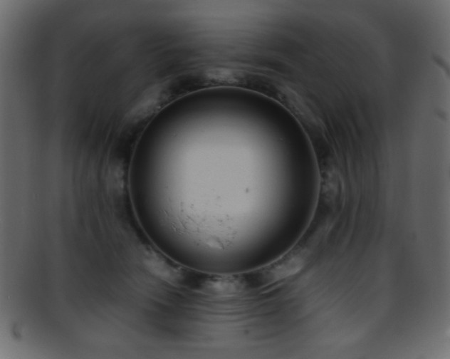 X0000095690466200801081252