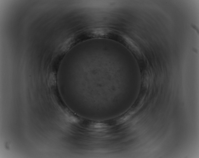 X0000095690467200801081252