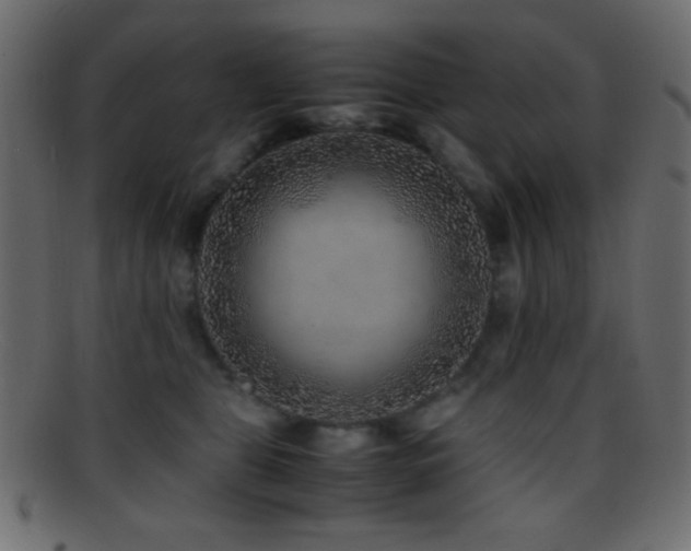 X0000095690469200801081252