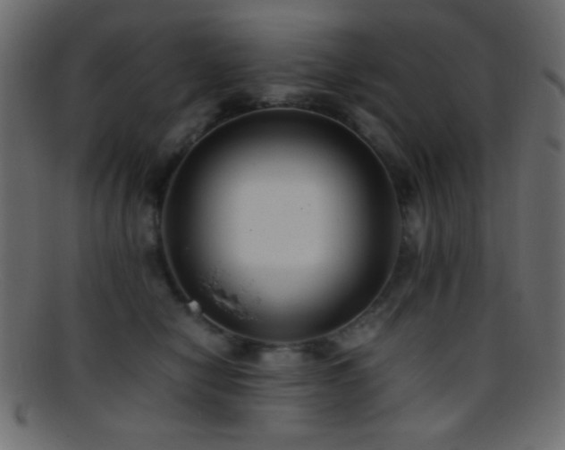 X0000095690470200801081252