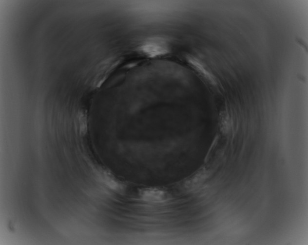 X0000095690471200801081252