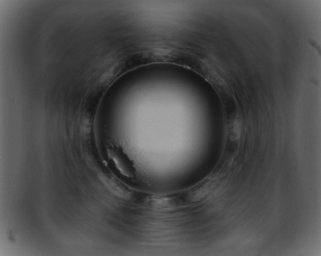 X0000095690472200801081252