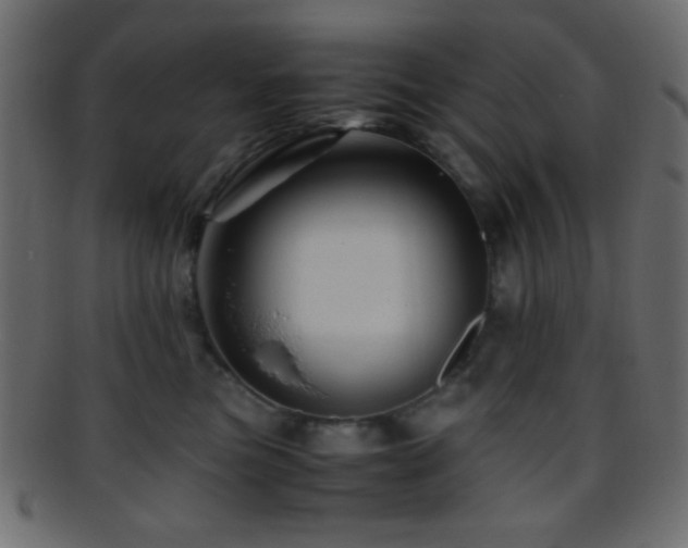 X0000095690473200801081252