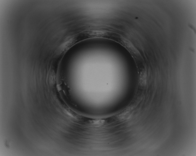 X0000095690474200801081252