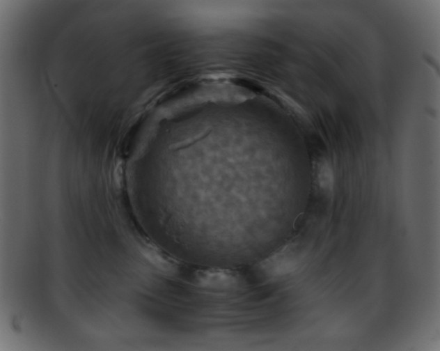 X0000095690475200801081252