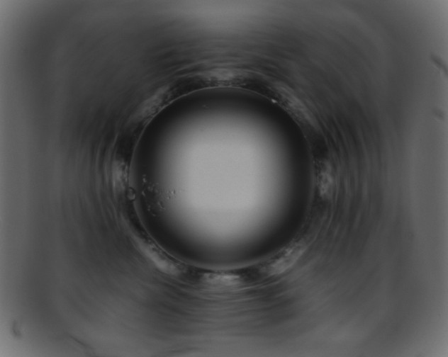 X0000095690476200801081252