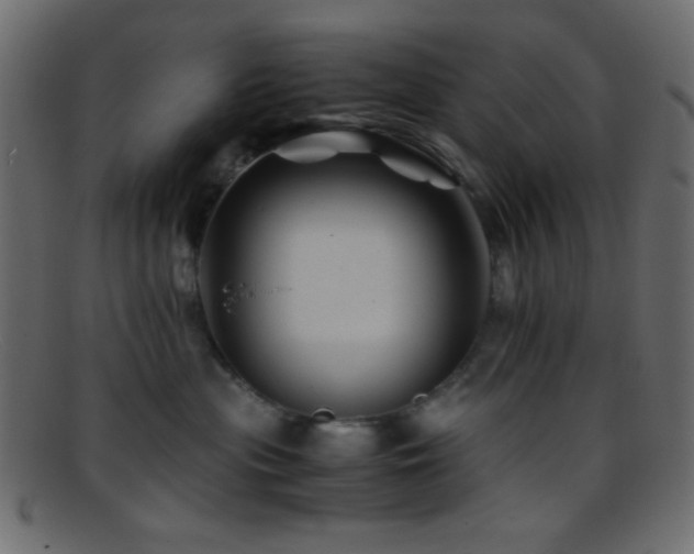 X0000095690477200801081252
