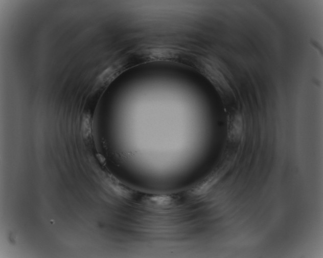 X0000095690478200801081252
