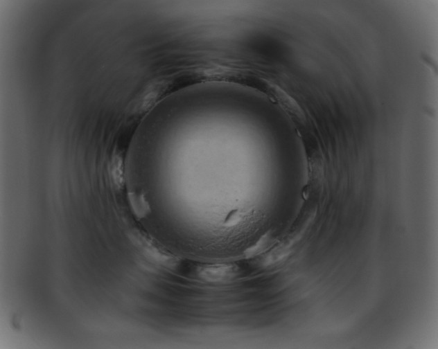 X0000095690479200801081252
