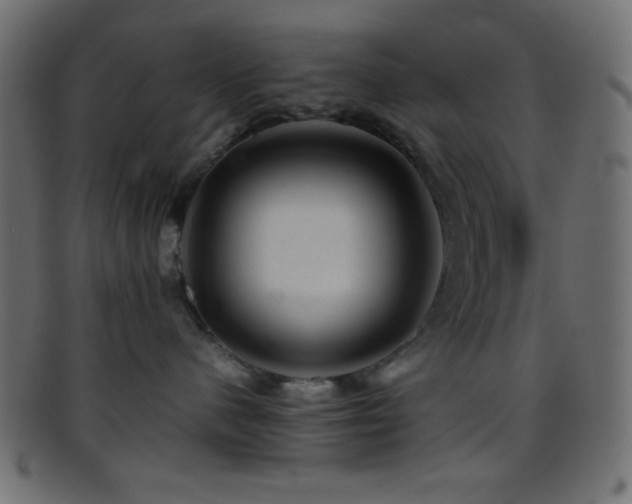 X0000095690480200801081252