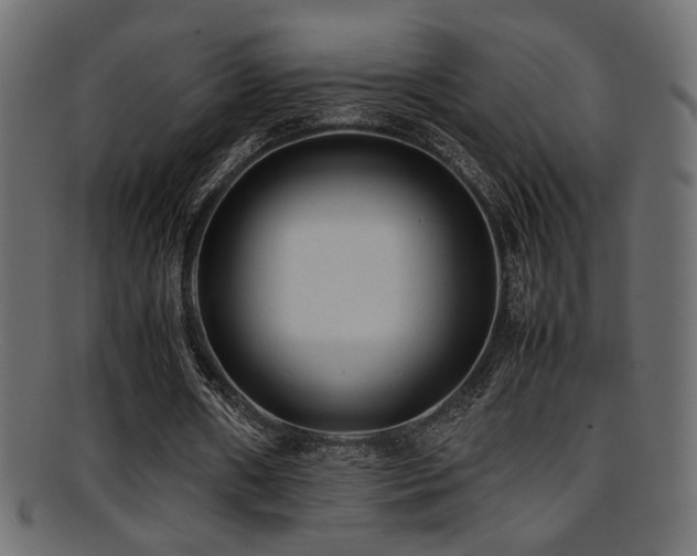 X0000095690482200801081251