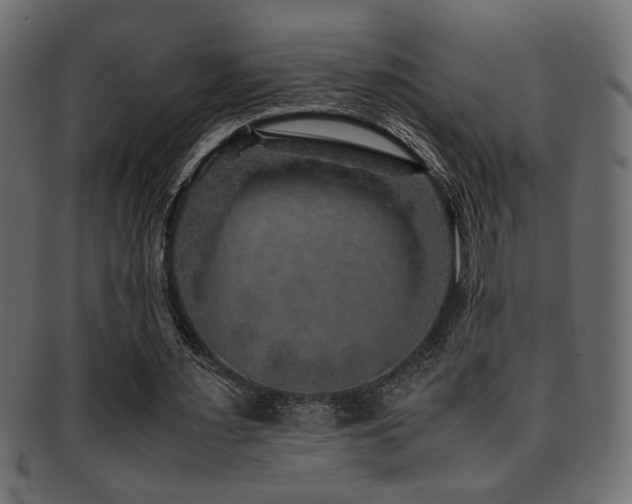 X0000095690483200801081251