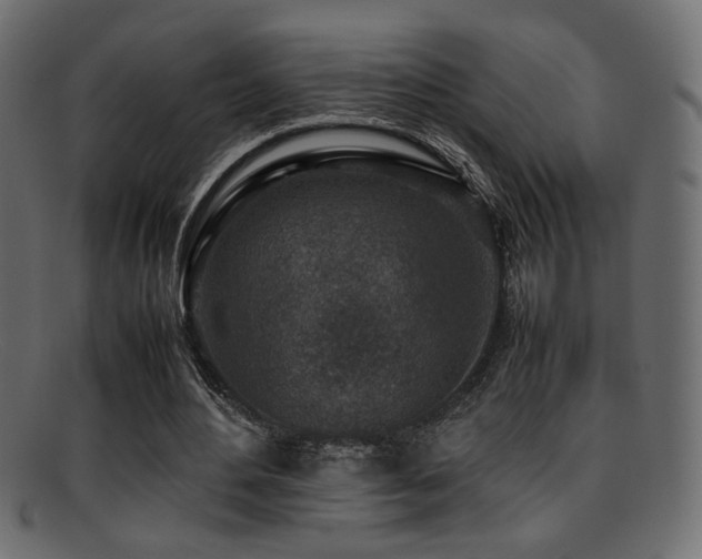 X0000095690484200801081251