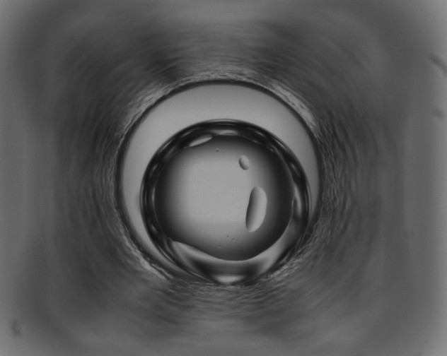 X0000095690485200801081251
