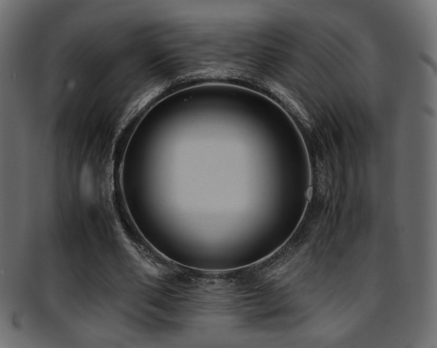 X0000095690486200801081251