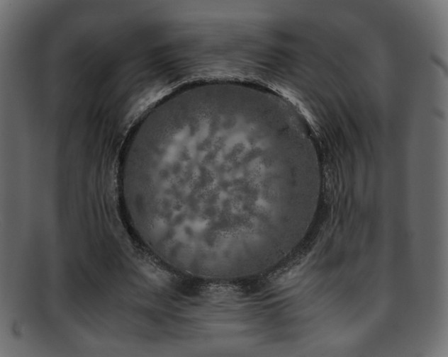 X0000095690487200801081251