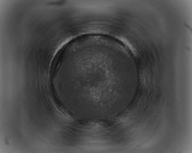 X0000095690488200801081251