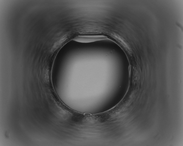 X0000095690489200801081251