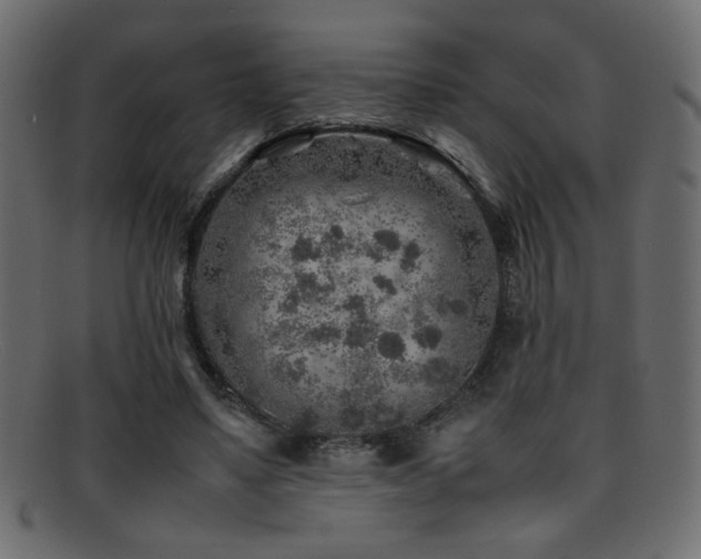 X0000095690491200801081251