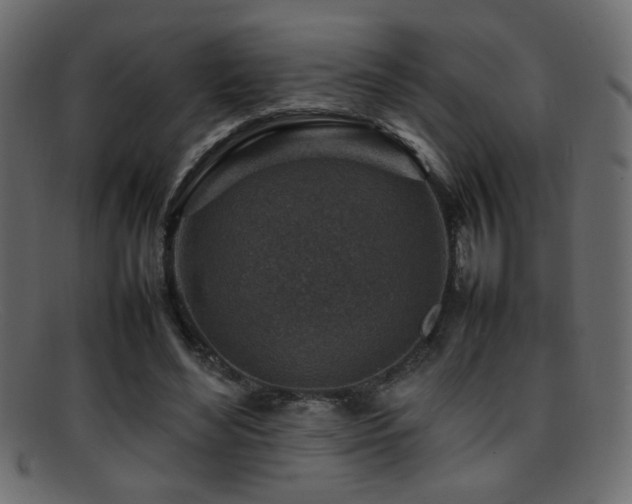 X0000095690492200801081251
