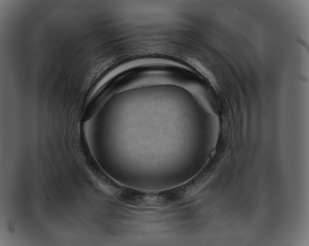 X0000095690493200801081251
