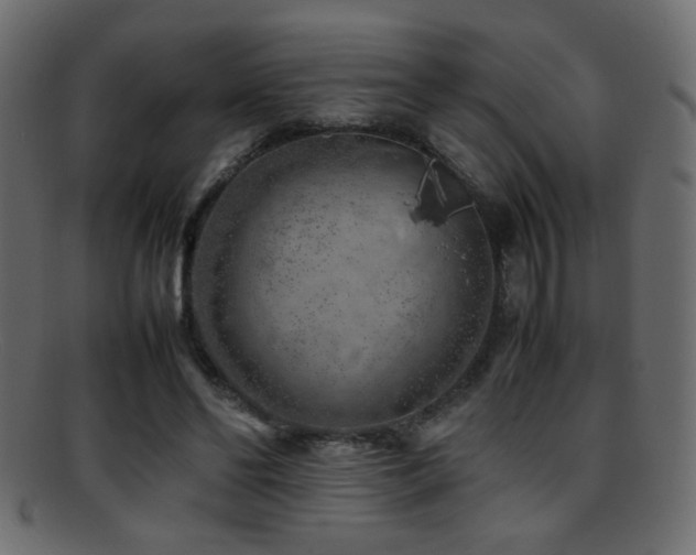 X0000095690494200801081251