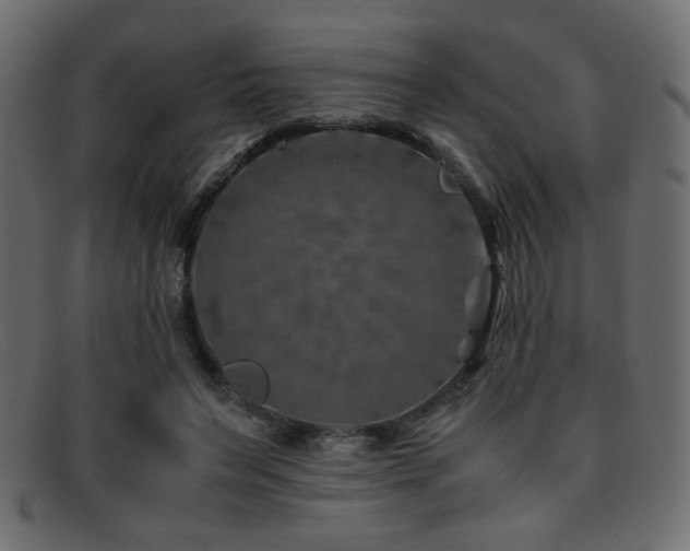 X0000095690495200801081251