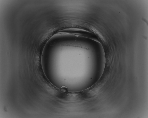 X0000095690497200801081251
