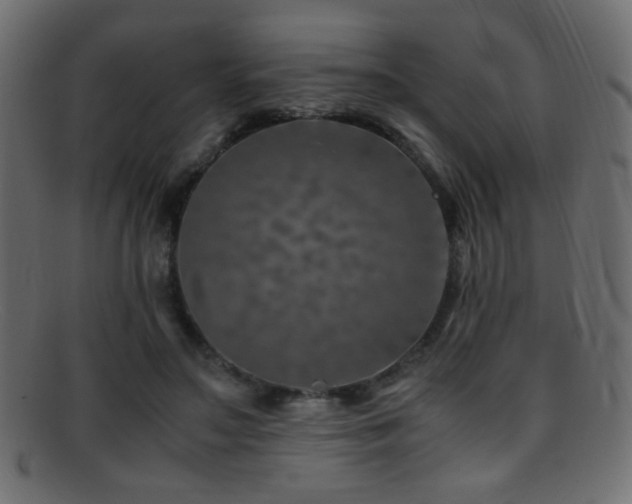X0000095690499200801081251