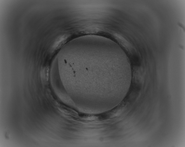 X0000095690501200801081251