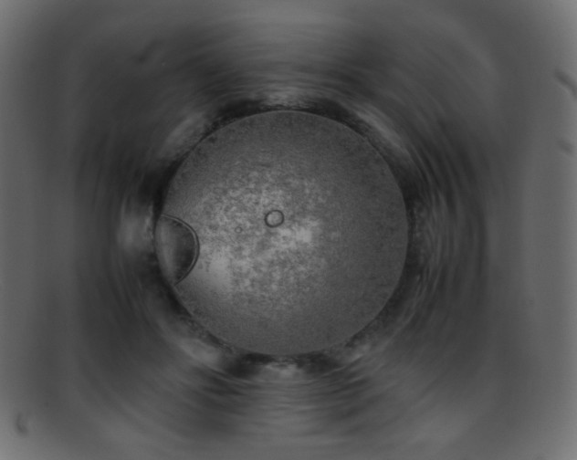 X0000095690502200801081251