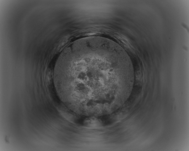 X0000095690503200801081251