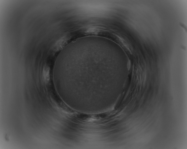 X0000095690504200801081251