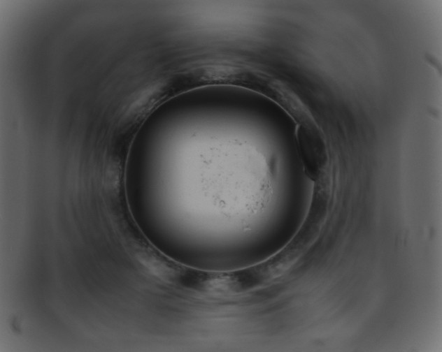 X0000095690505200801081251