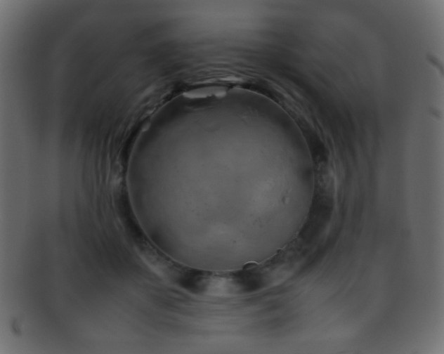 X0000095690507200801081251