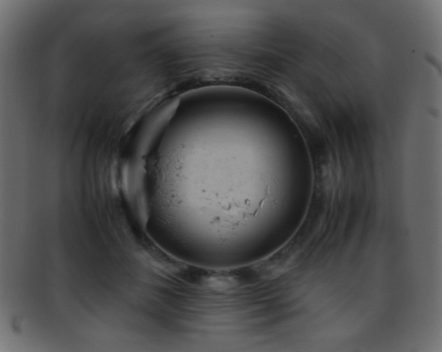 X0000095690508200801081251